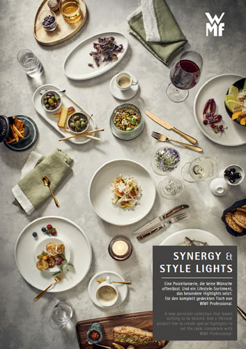 SYNERGY & STYLE LIGHTS Broschüre